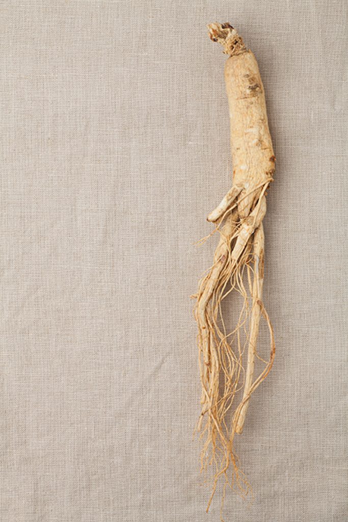 5 Benefits of Korean Red Ginseng